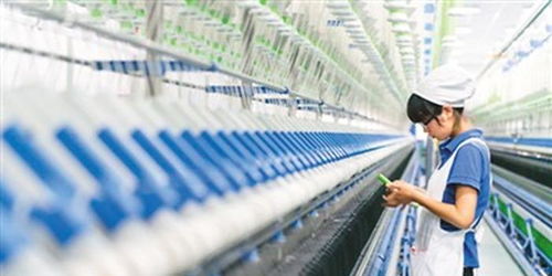 人民日報海外版 高密紡織業擁抱電商