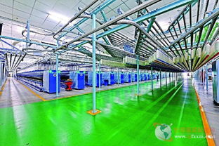 光影織夢 金貓杯攝影大賽記錄現(xiàn)代紡織業(yè)新顏